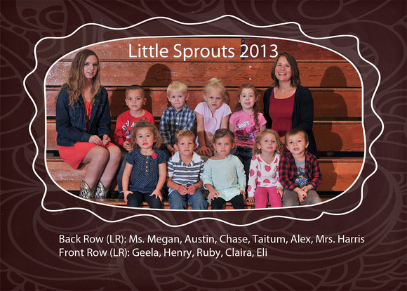 littlesprouts